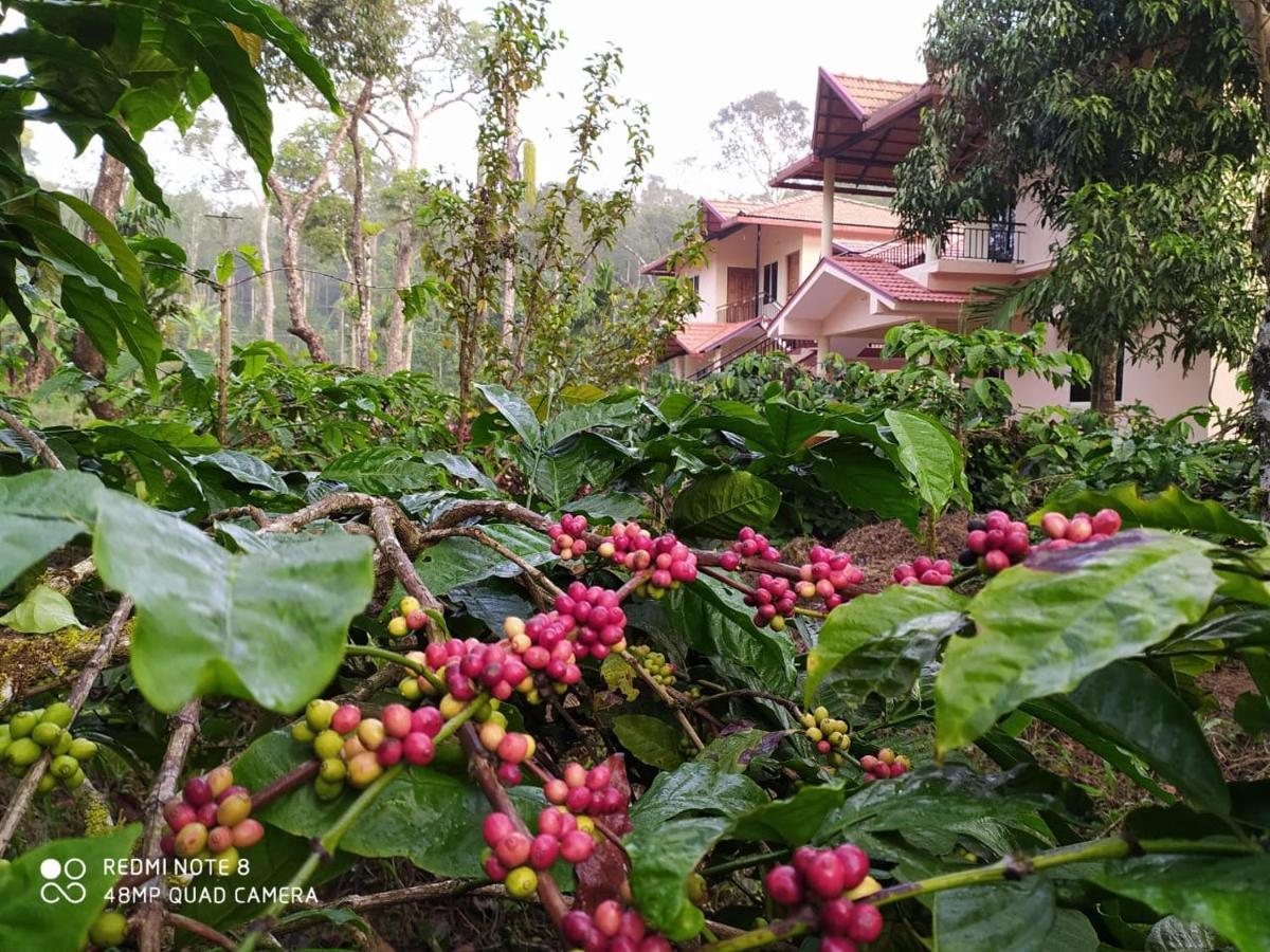 Wanders In Travel Company Hotel Madikeri Exterior foto